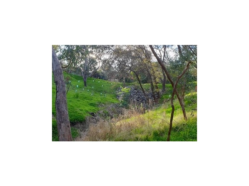 2 Kookaburra Place, Belair SA 5052