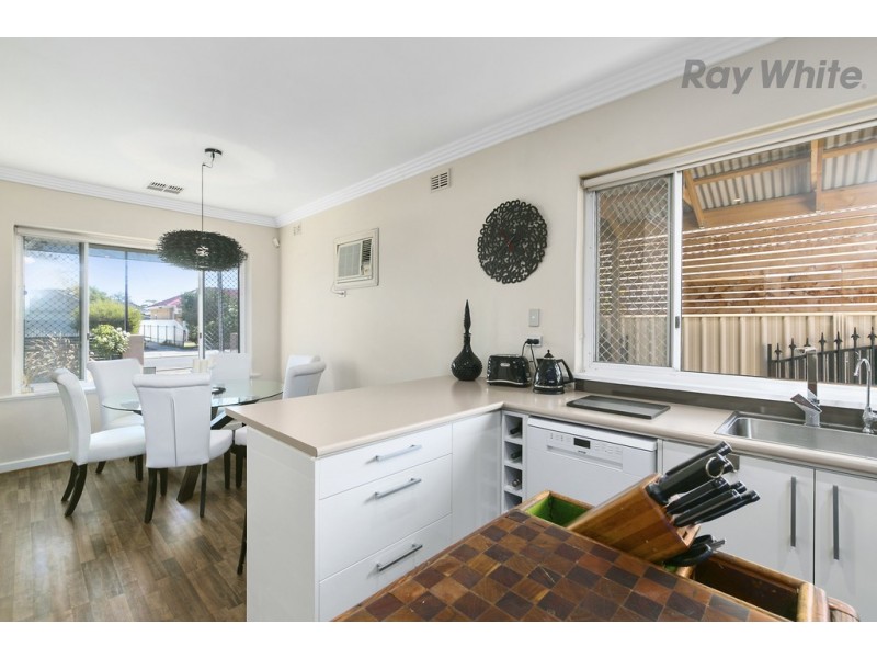 14 Ralli Street, Plympton Park SA 5038