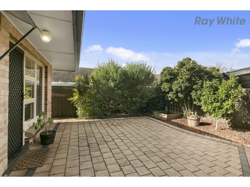 6/303 Anzac Highway, Plympton SA 5038