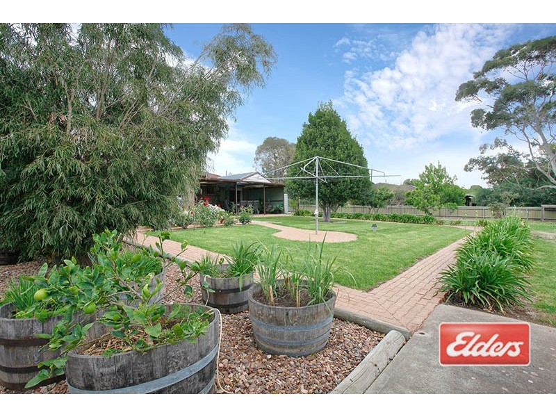 259 Bethany Road, Tanunda SA 5352