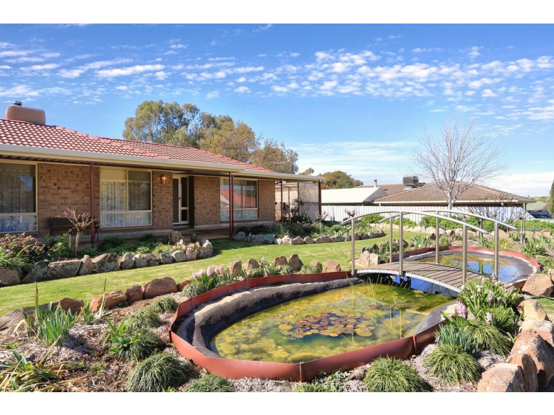 20 Bagot Street, Kapunda SA 5373