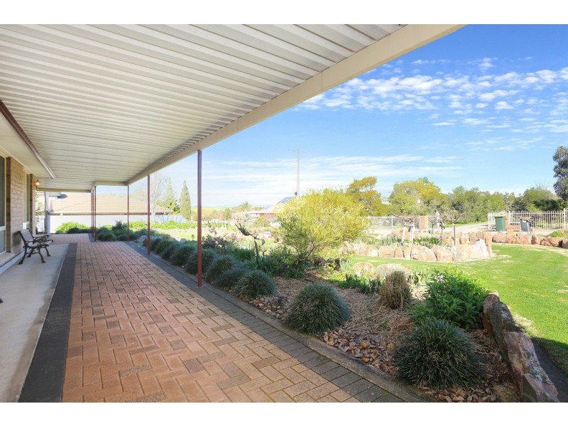 20 Bagot Street, Kapunda SA 5373