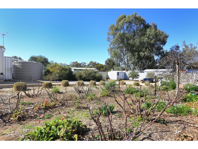 20 Bagot Street, Kapunda SA 5373