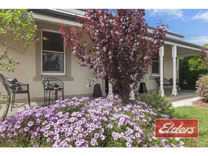 263 Vine Vale Road, Tanunda SA 5352
