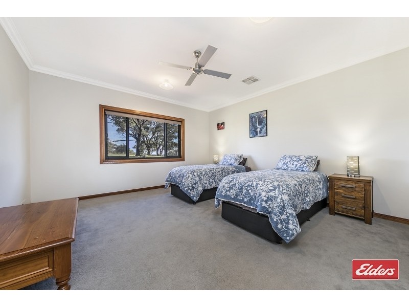 10 Breakneck Hill Road, Angaston SA 5353