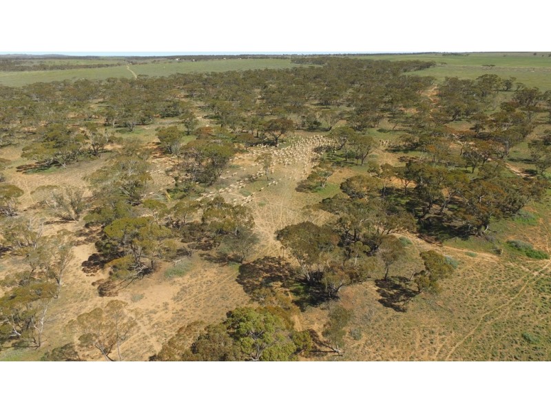 37 Stonefield Road, Brownlow SA 5374
