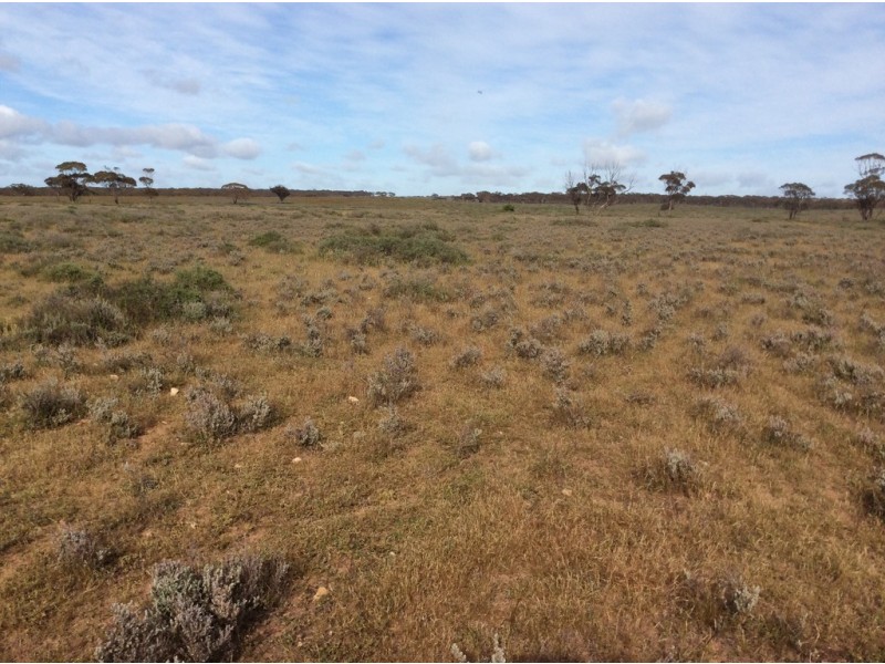 37 Stonefield Road, Brownlow SA 5374