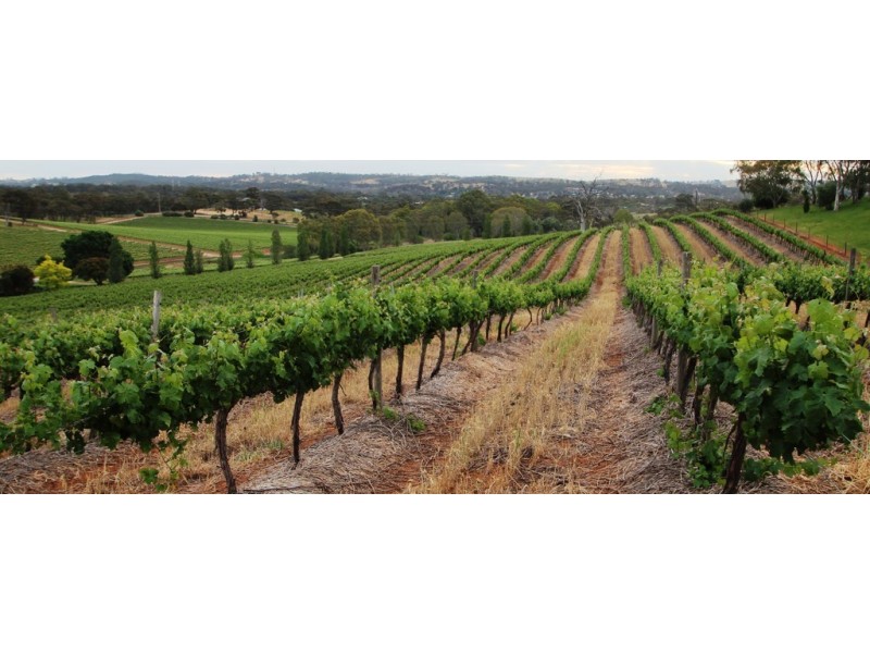 Lot 212 Slaughterhouse Road, Clare SA 5453