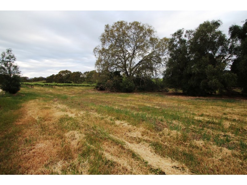 Lot 212 Slaughterhouse Road, Clare SA 5453
