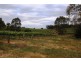 Lot 212 Slaughterhouse Road, Clare SA 5453