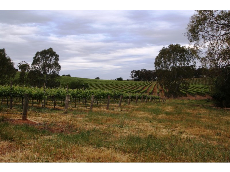 Lot 212 Slaughterhouse Road, Clare SA 5453