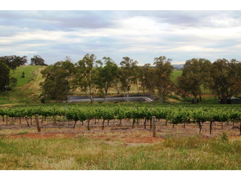 Lot 212 Slaughterhouse Road, Clare SA 5453