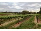 Lot 212 Slaughterhouse Road, Clare SA 5453