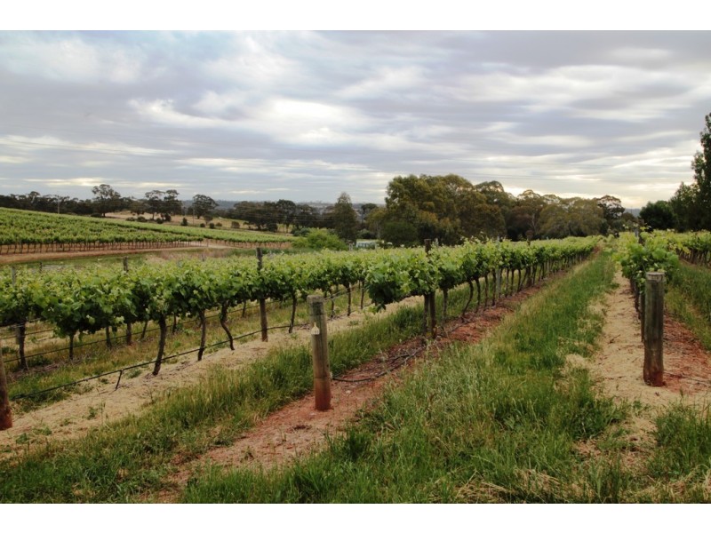 Lot 212 Slaughterhouse Road, Clare SA 5453