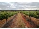 Lot 212 Slaughterhouse Road, Clare SA 5453