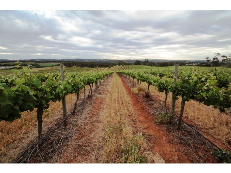 Lot 212 Slaughterhouse Road, Clare SA 5453