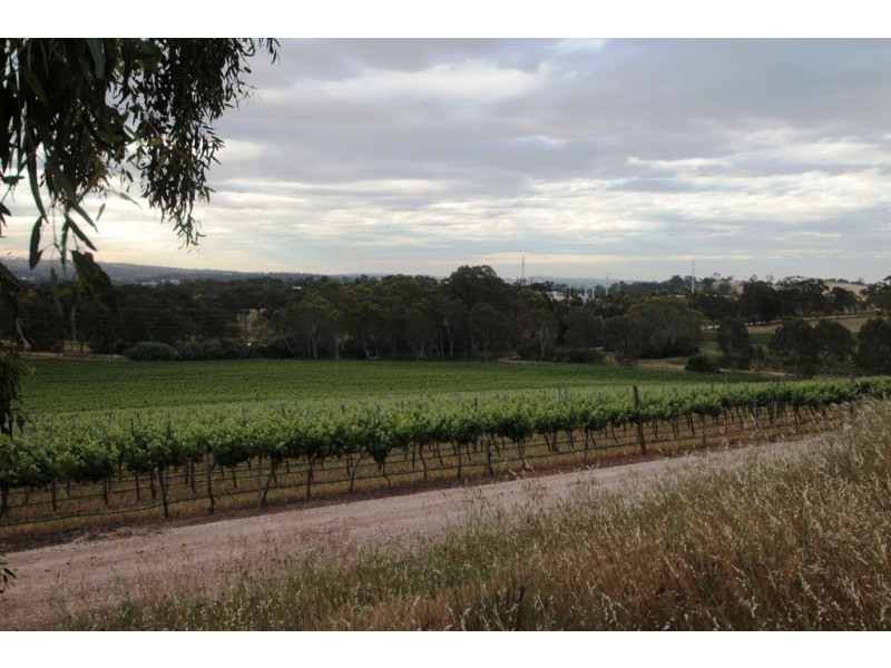 Lot 212 Slaughterhouse Road, Clare SA 5453