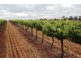 Lot 212 Slaughterhouse Road, Clare SA 5453