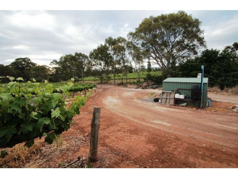 Lot 212 Slaughterhouse Road, Clare SA 5453