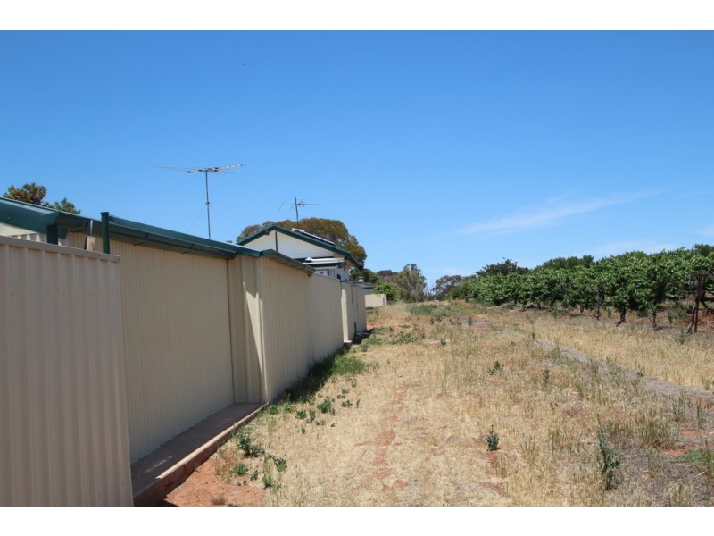 23 Day Street, Nildottie SA 5238