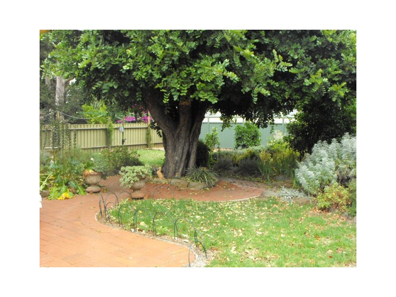 4 Park Ave, Nuriootpa SA 5355