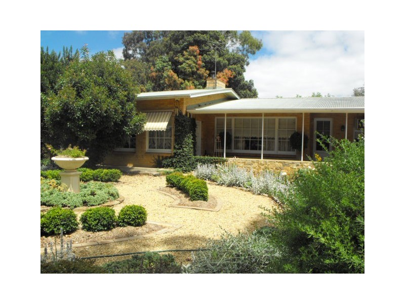 4 Park Ave, Nuriootpa SA 5355