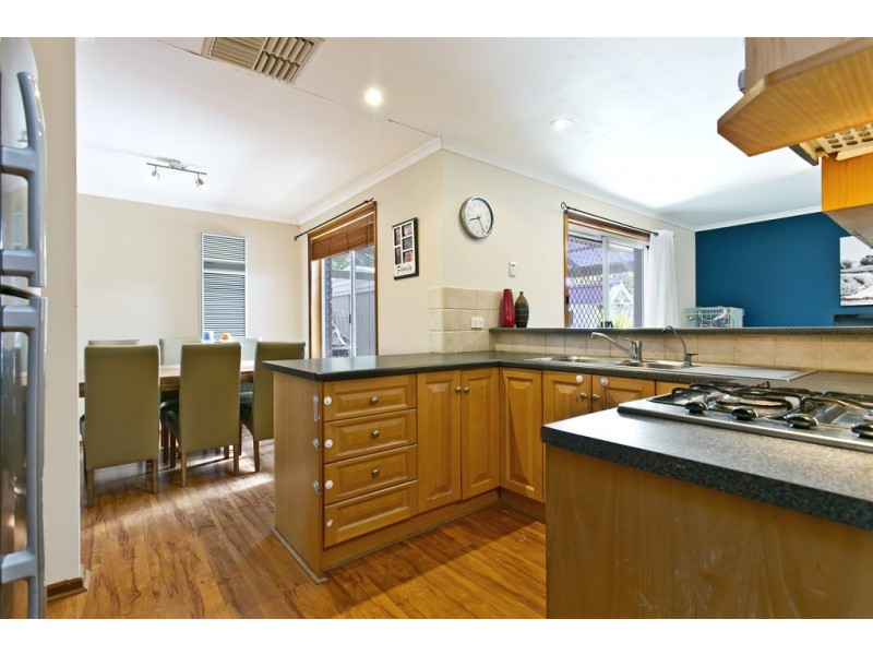 16 Springvale Drive, Blakeview SA 5114