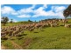 Lot 325 Old Glen Road, Pewsey Vale SA 5351