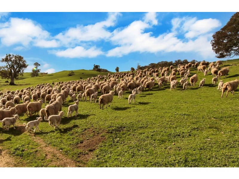 Lot 325 Old Glen Road, Pewsey Vale SA 5351