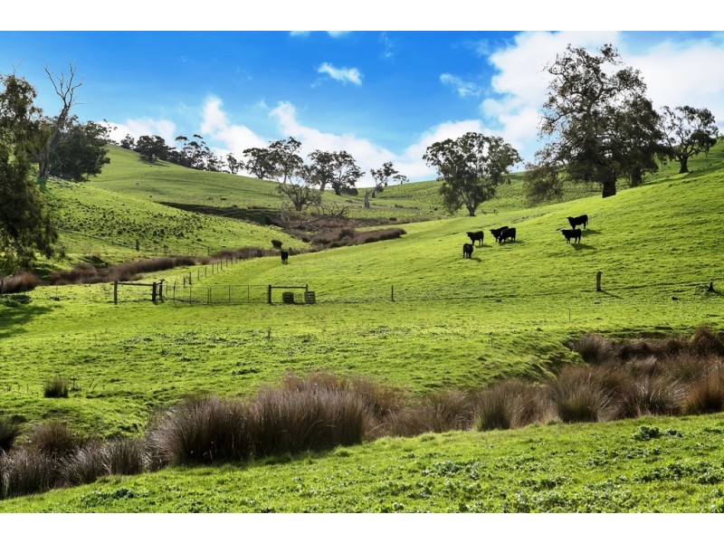 Lot 325 Old Glen Road, Pewsey Vale SA 5351