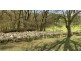 Lot 325 Old Glen Road, Pewsey Vale SA 5351