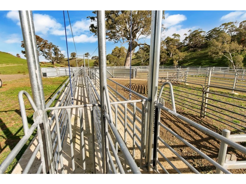 Lot 325 Old Glen Road, Pewsey Vale SA 5351