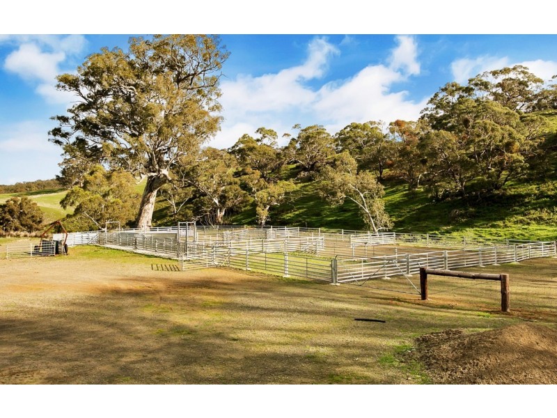Lot 325 Old Glen Road, Pewsey Vale SA 5351