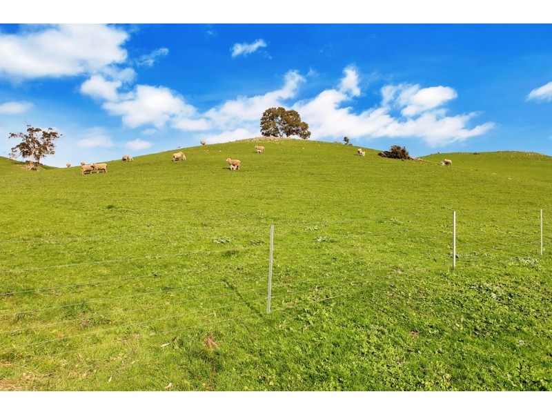 Lot 325 Old Glen Road, Pewsey Vale SA 5351
