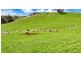 Lot 325 Old Glen Road, Pewsey Vale SA 5351