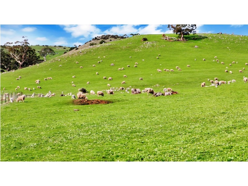Lot 325 Old Glen Road, Pewsey Vale SA 5351