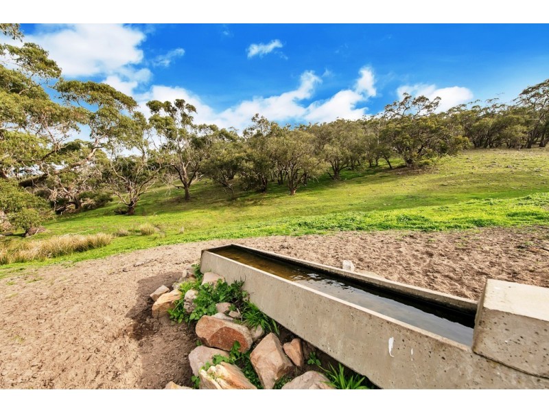 Lot 325 Old Glen Road, Pewsey Vale SA 5351