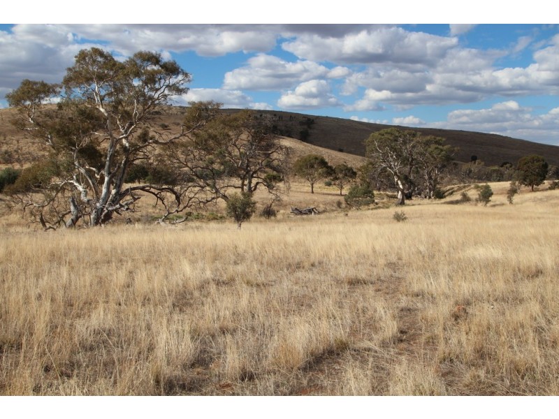 Lot 9 Govt Road, Cambrai SA 5353