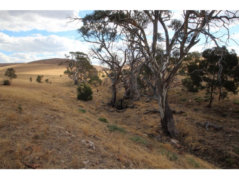 Lot 9 Govt Road, Cambrai SA 5353