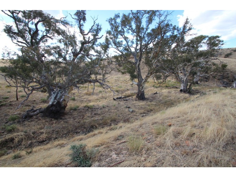 Lot 9 Govt Road, Cambrai SA 5353