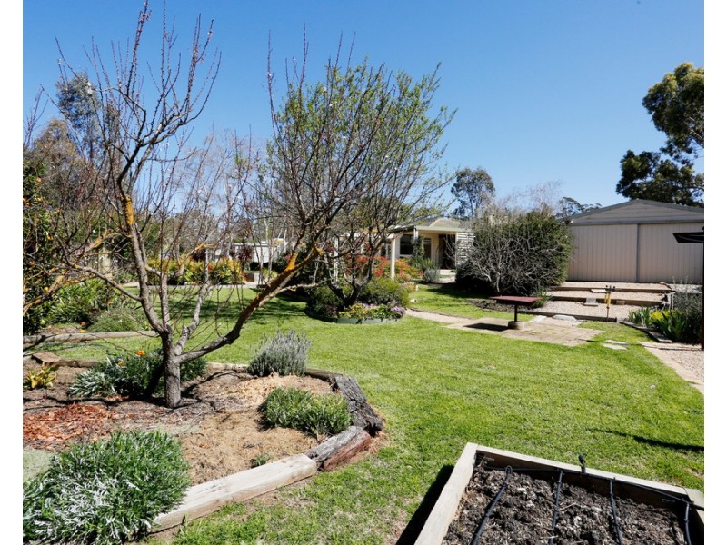 3 Cadd Crt, Angaston SA 5353