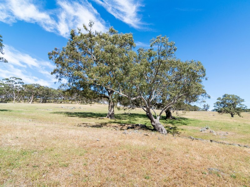 47 Woolshed Road, Mount Torrens SA 5244