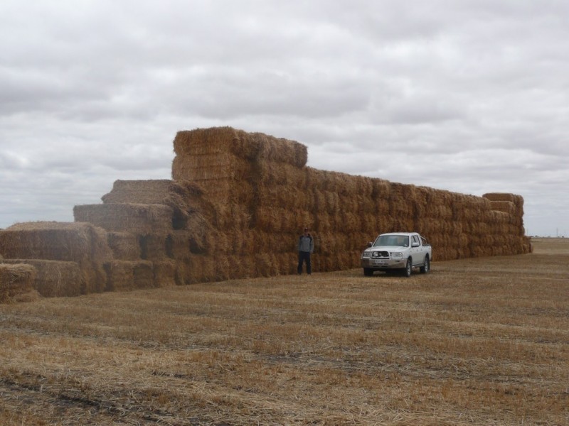 Lot 435 Robertson Hundred Line, Naracoorte SA 5271