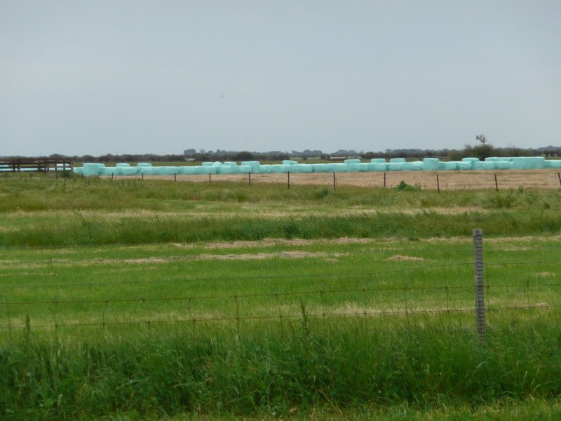 Lot 435 Robertson Hundred Line, Naracoorte SA 5271