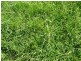 Lot 435 Robertson Hundred Line, Naracoorte SA 5271
