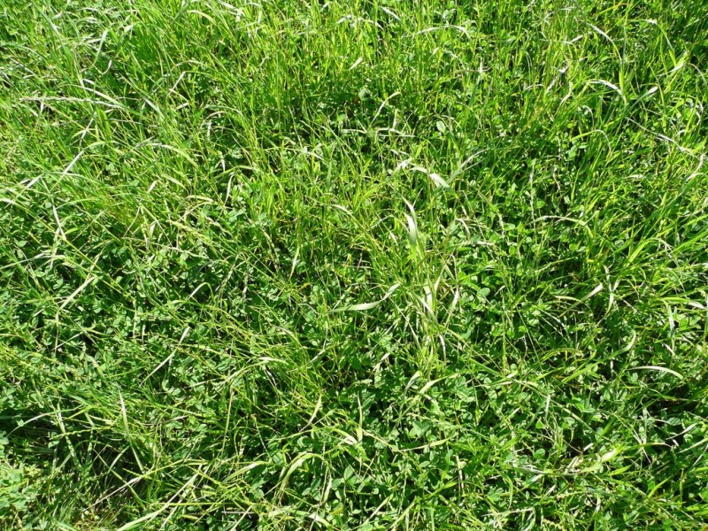 Lot 435 Robertson Hundred Line, Naracoorte SA 5271