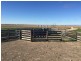 Lot 435 Robertson Hundred Line, Naracoorte SA 5271