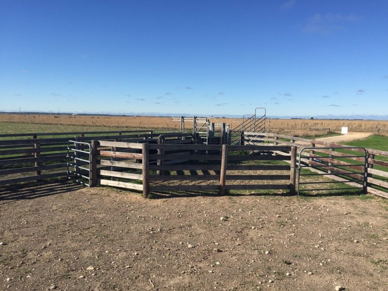 Lot 435 Robertson Hundred Line, Naracoorte SA 5271