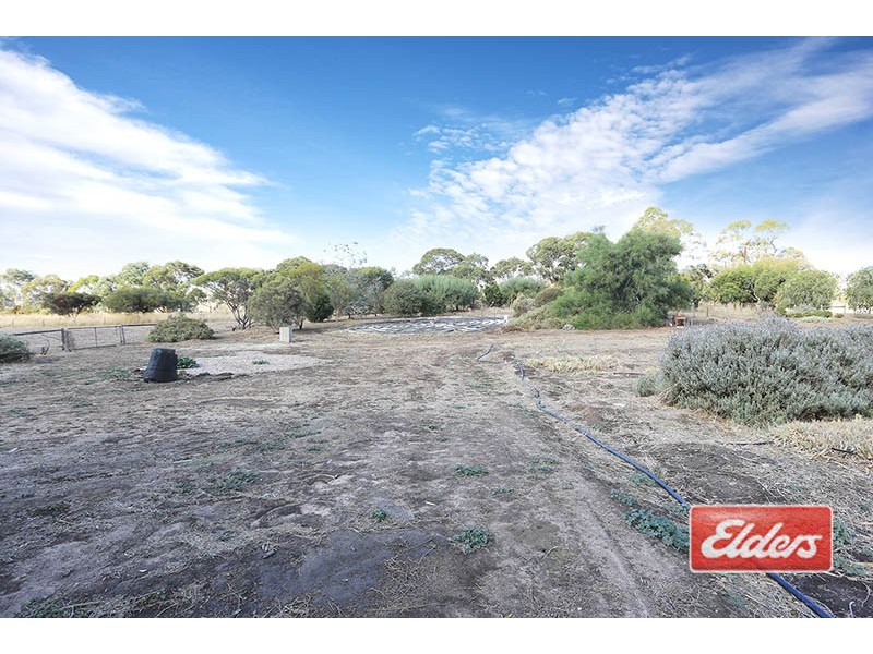 12 Yumbunga Road, Angaston SA 5353