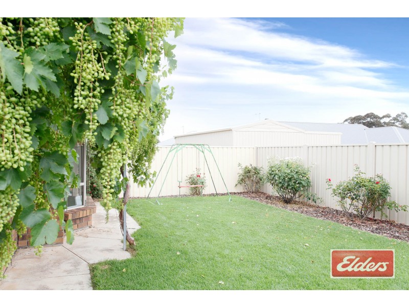 29 Blaxland Street, Nuriootpa SA 5355